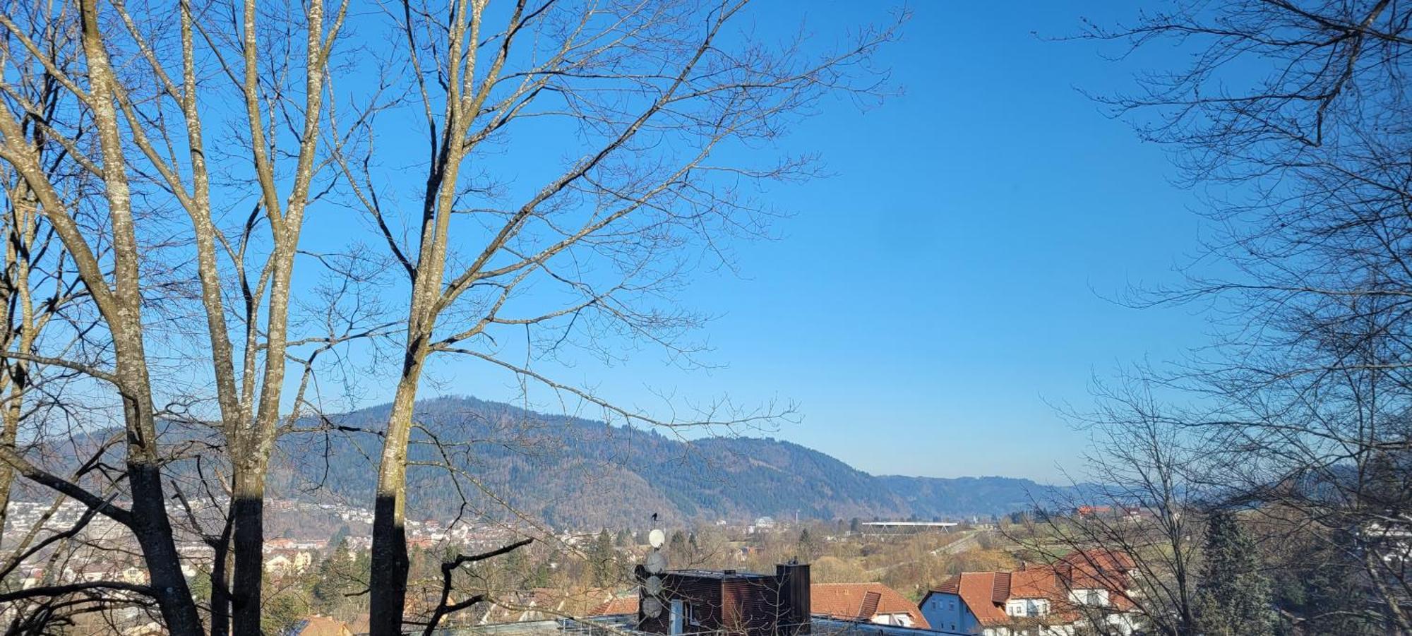 Am Wald Apartment Waldkirch Bagian luar foto